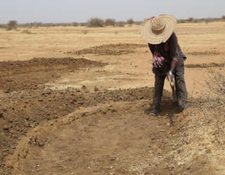 FFA活动参与者正在进行的半月型耕地建设工作。照片：世界粮食计划署/Mariama Ali Souley